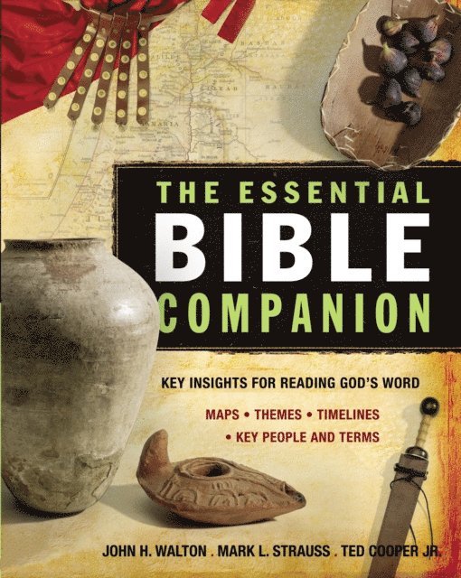Jr. Ted Cooper, Mark L. Strauss, John H. Walton - Essential Bible Companion, E-bok