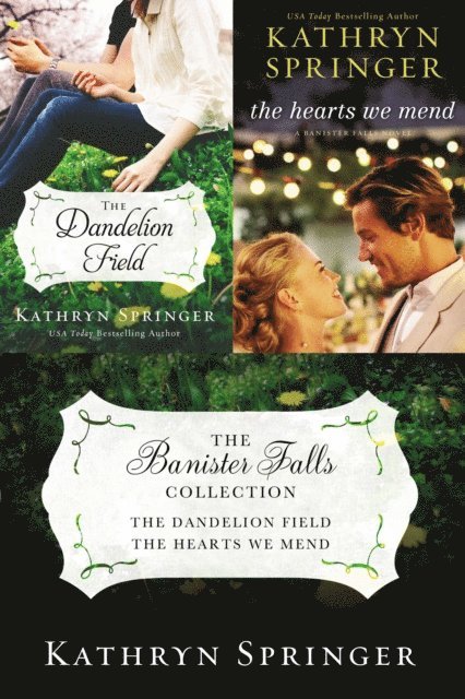 Kathryn Springer - Banister Falls Collection, E-bok