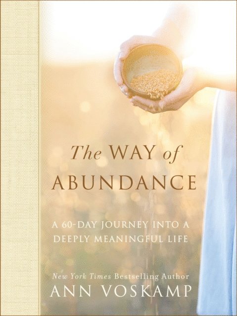 Ann Voskamp - Way of Abundance, E-bok