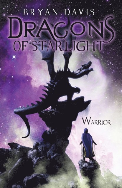 Bryan Davis - Warrior, E-bok