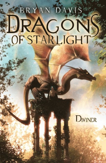 Bryan Davis - Diviner, E-bok
