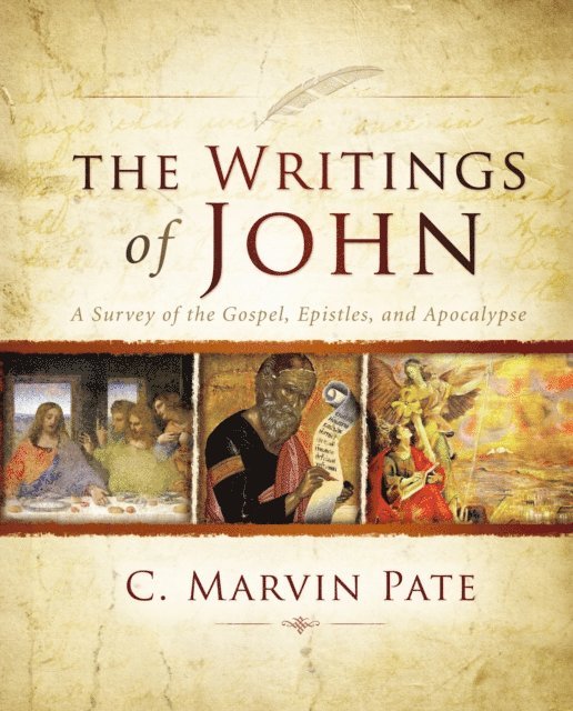 C. Marvin Pate - Writings of John, E-bok
