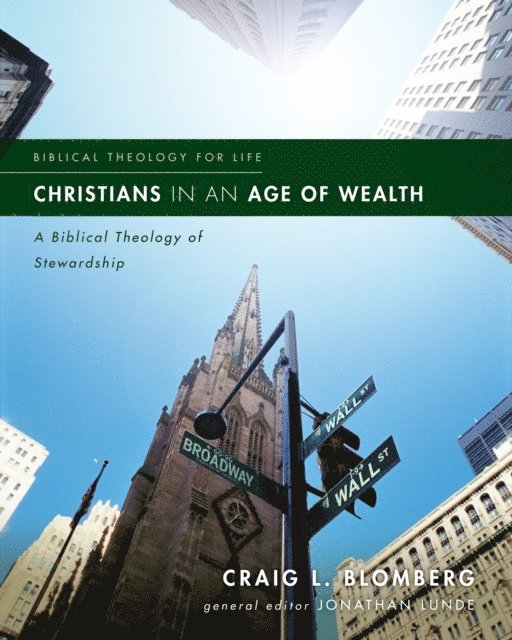 Craig L. Blomberg - Christians in an Age of Wealth, E-bok