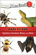 Spiders, Snakes, Bees, and Bats