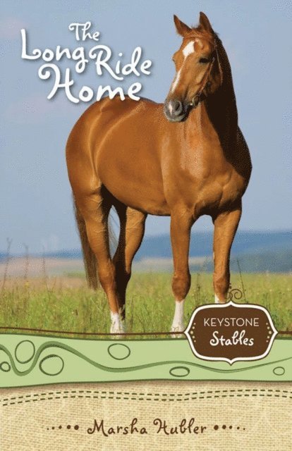 Marsha Hubler - Long Ride Home, E-bok
