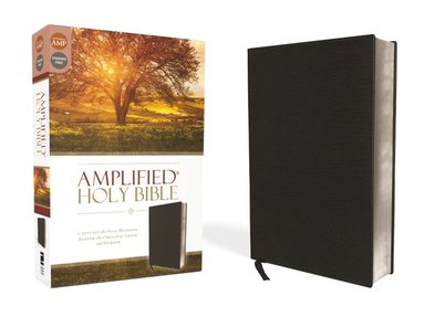 Amplified Holy Bible, Bonded Leather, Black by Zondervan