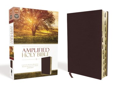 Amplified Holy Bible, Bonded Leather, Burgundy, Thumb Indexed by Zondervan