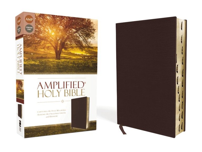 Zondervan - Amplified Holy Bible, Bonded Leather, Burgundy, Thumb Indexed, Inbunden