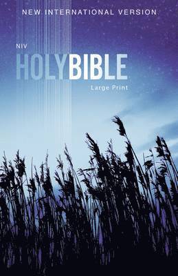 Outreach Bible-NIV av Zondervan