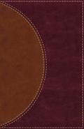 Amplified Reading Bible, Leathersoft, Brown, Thumb Indexed