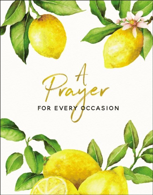 Carrie Marrs - Prayer for Every Occasion, E-bok