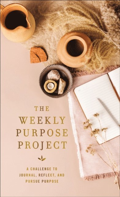 Zondervan - Weekly Purpose Project, E-bok