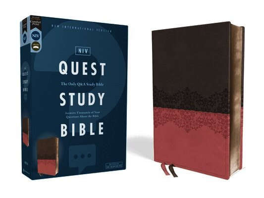 Christianity Today Intl - Niv, Quest Study Bible, Leathersoft, Gray/Pink, Comfort Print, Inbunden
