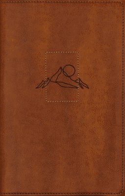 Joe Carter - Niv, Spiritual Habits Bible, Leathersoft, Tan, Red Letter, Thumb Indexed, Comfort Print, Inbunden