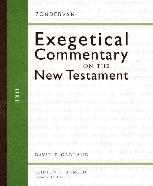David E. Garland - Luke, E-bok