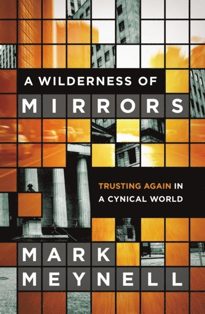 Mark Meynell - Wilderness of Mirrors, E-bok