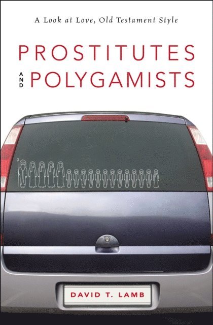 David T. Lamb - Prostitutes and Polygamists, E-bok