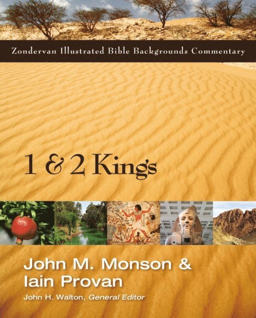 Iain Provan, John M. Monson - 1 and 2 Kings, E-bok