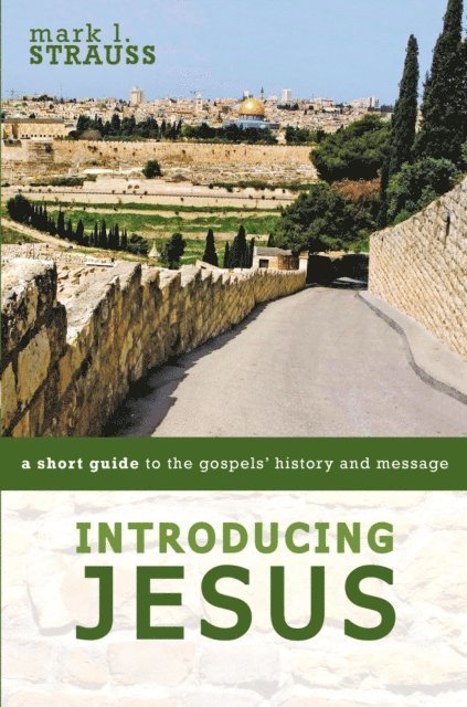 Mark L. Strauss - Introducing Jesus, E-bok