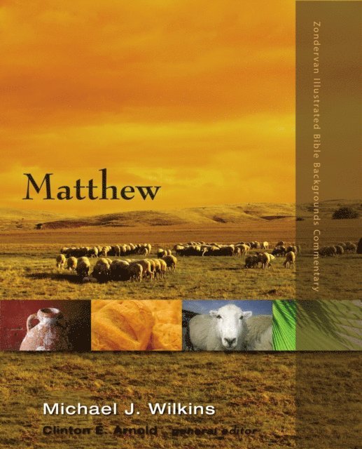 Michael J. Wilkins - Matthew, E-bok