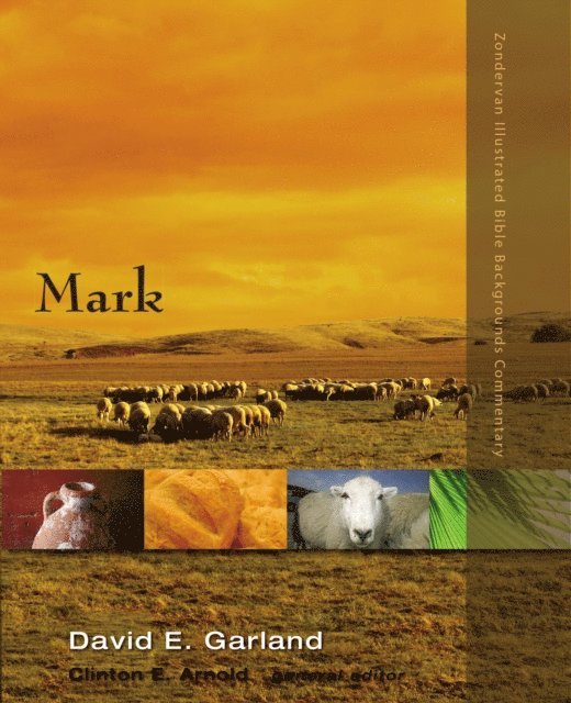 David E. Garland - Mark, E-bok
