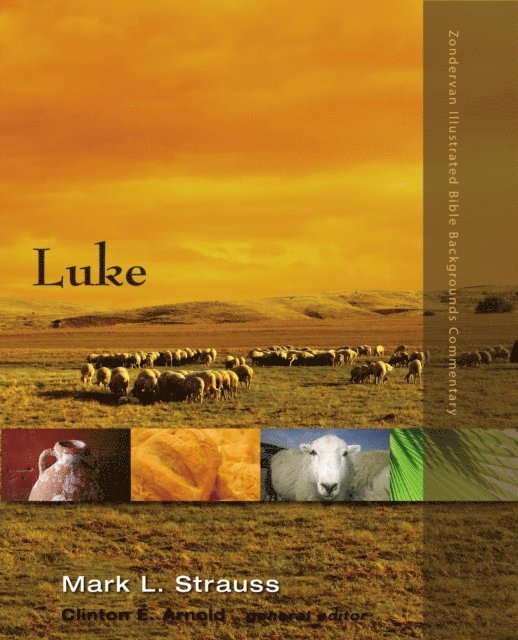 Mark L. Strauss - Luke, E-bok