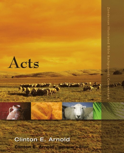 Clinton E. Arnold - Acts, E-bok