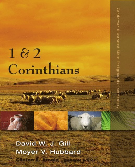 Moyer V. Hubbard, David W. J. Gill - 1 and 2 Corinthians, E-bok
