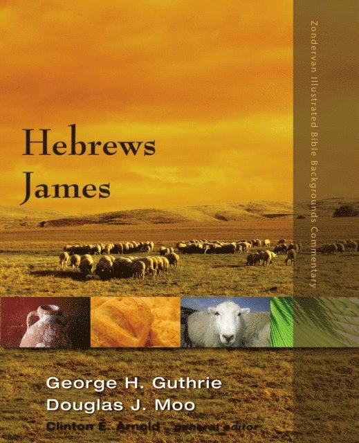 Douglas  J. Moo, George H. Guthrie - Hebrews, James, E-bok