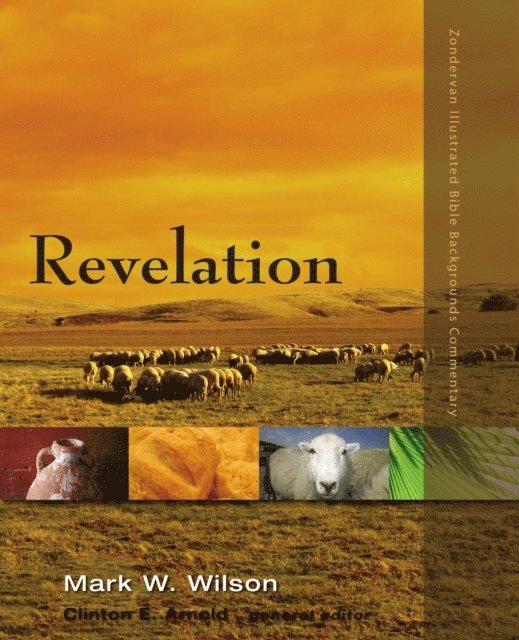 Mark W. Wilson - Revelation, E-bok