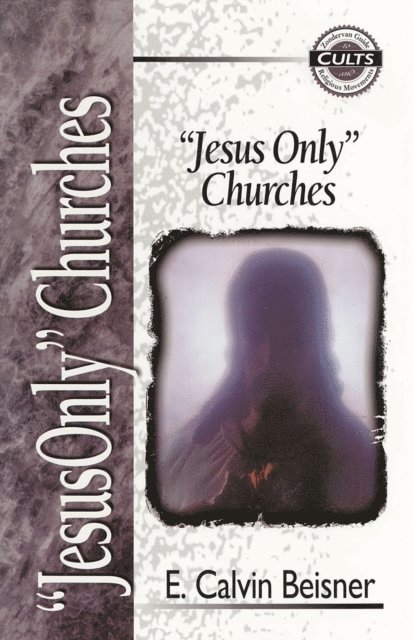 E. Calvin Beisner - Jesus Only Churches, E-bok