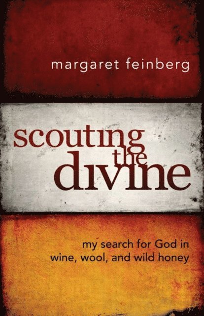 Margaret Feinberg - Scouting the Divine, E-bok
