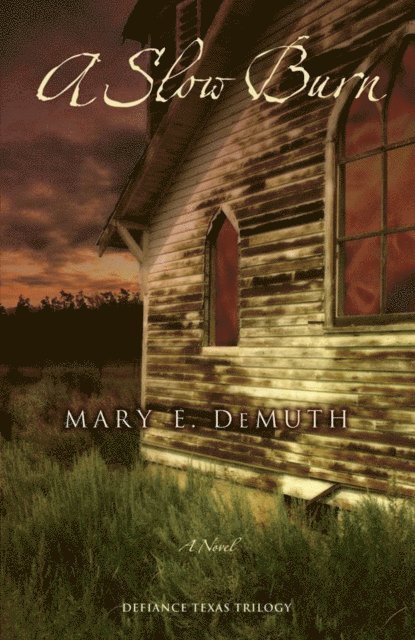 Mary E. DeMuth - Slow Burn, E-bok