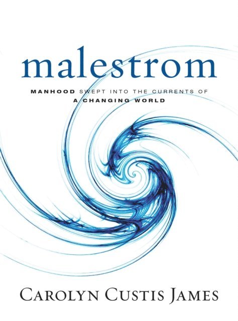 Carolyn Custis James - Malestrom, E-bok