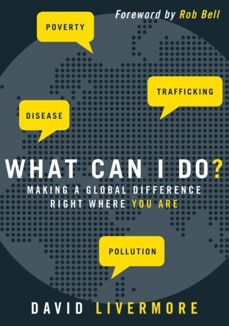 David Livermore - What Can I Do?, E-bok