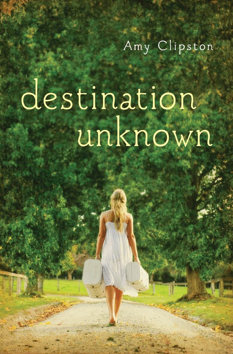 Amy Clipston - Destination Unknown, Häftad