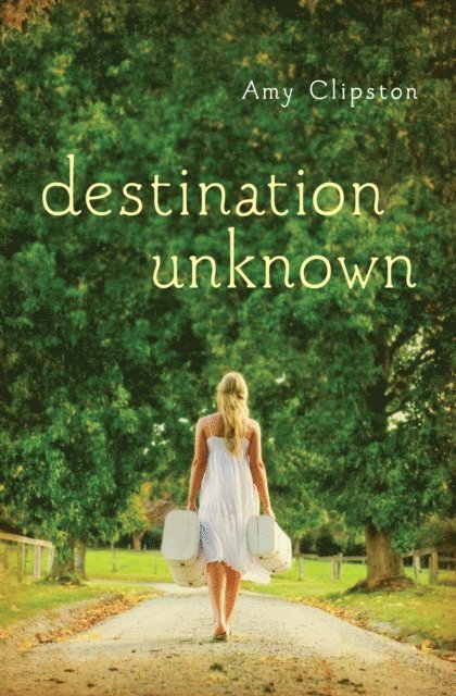 Amy Clipston - Destination Unknown, E-bok