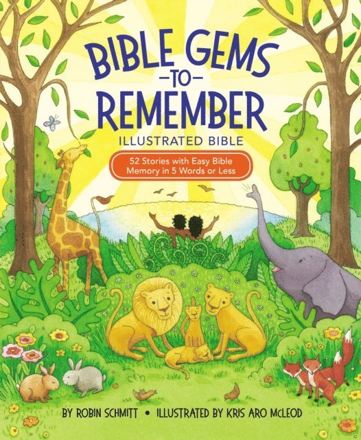 Robin Schmitt - Bible Gems to Remember Illustrated Bible, E-bok