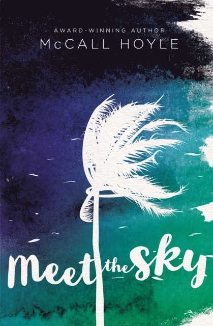 McCall Hoyle - Meet the Sky, E-bok