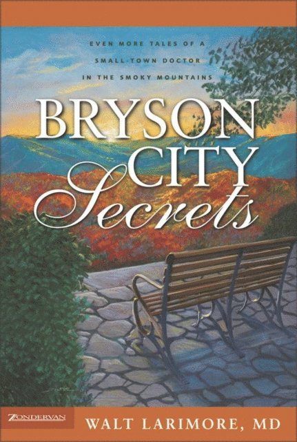 Walt Larimore - Bryson City Secrets, E-bok
