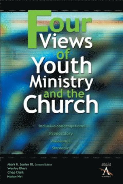 Malan Nel, Chap Clark, Wesley Black - Four Views of Youth Ministry and the Church, E-bok