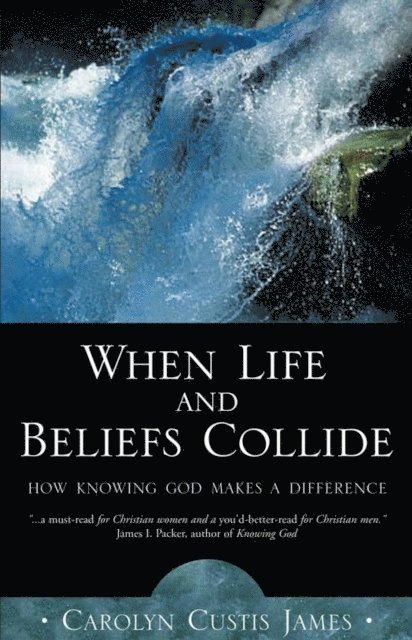 Carolyn Custis James - When Life and Beliefs Collide, E-bok