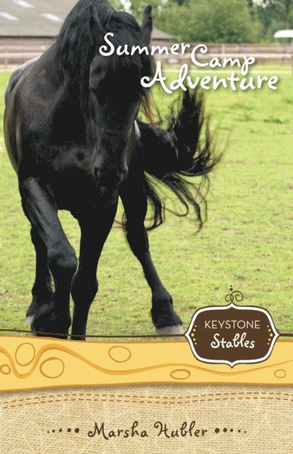 Marsha Hubler - Summer Camp Adventure, E-bok