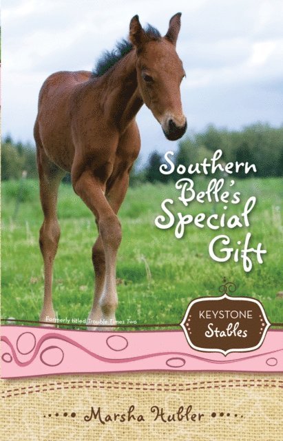 Marsha Hubler - Southern Belle's Special Gift, E-bok