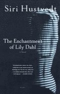 The Enchantment of Lily Dahl