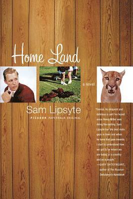 Sam Lipsyte - Home Land, Häftad