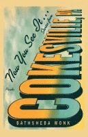 Bathsheba Monk - Now You See It . . .: Stories from Cokesville, Pa, Häftad