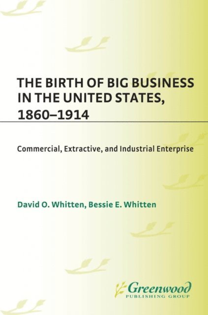 David O. Whitten, Bessie E. Whitten - Birth of Big Business in the United States, 1860-1914, E-bok