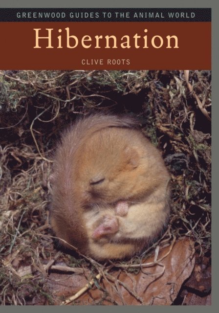 Clive Roots - Hibernation, E-bok. Tillgänglighet: Lägg i varukorg