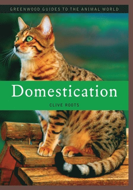 Clive Roots - Domestication, E-bok. Tillgänglighet: Lägg i varukorg